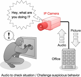 figure:Monitoring with advanced audio communication function